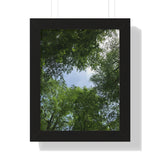 "Nature Walk" Framed Vertical Poster