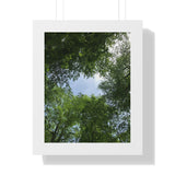 "Nature Walk" Framed Vertical Poster