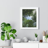 "Nature Walk" Framed Vertical Poster